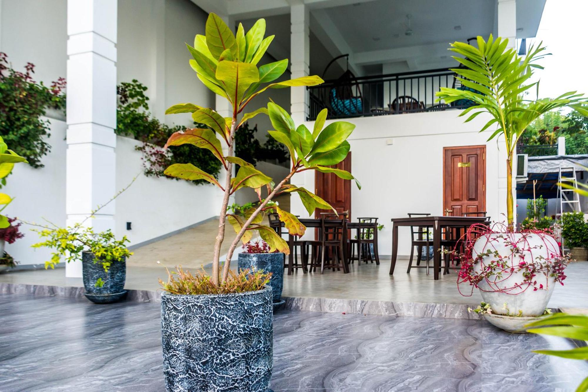 Hotel Zodiak à Tangalle Extérieur photo